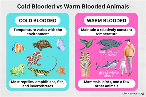 are fish cold blooded|Are all fish warm blooded .